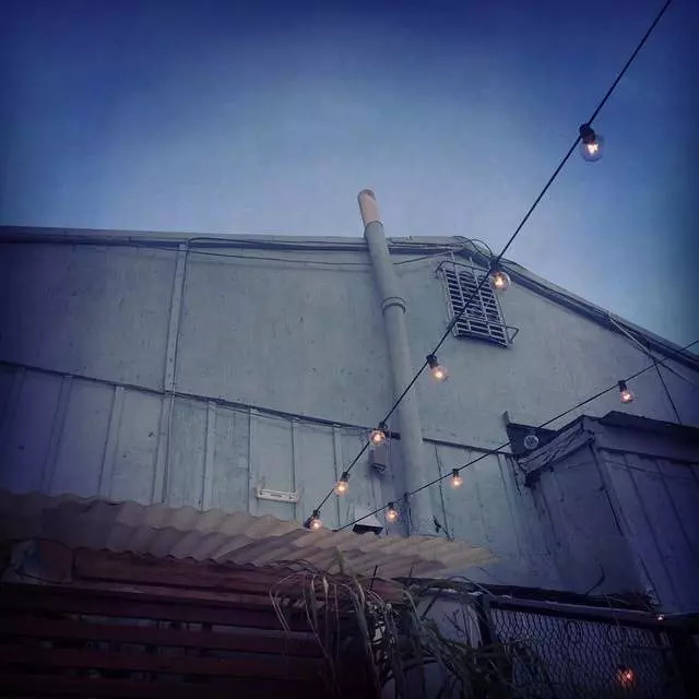 The Sycamore