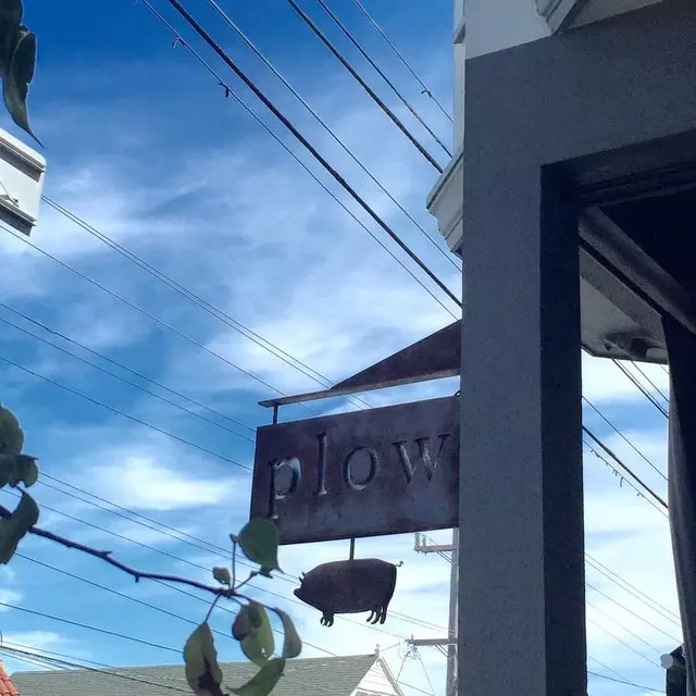 Plow