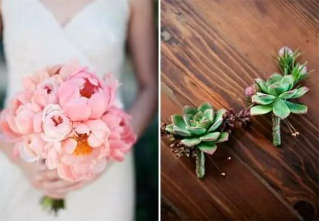 Amy Kaneko Events