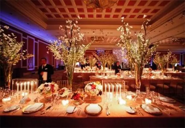 Amy Kaneko Events