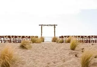 Amy Kaneko Events