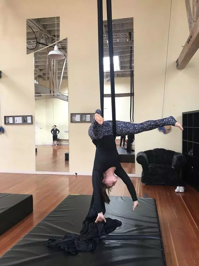 Aerial Artique