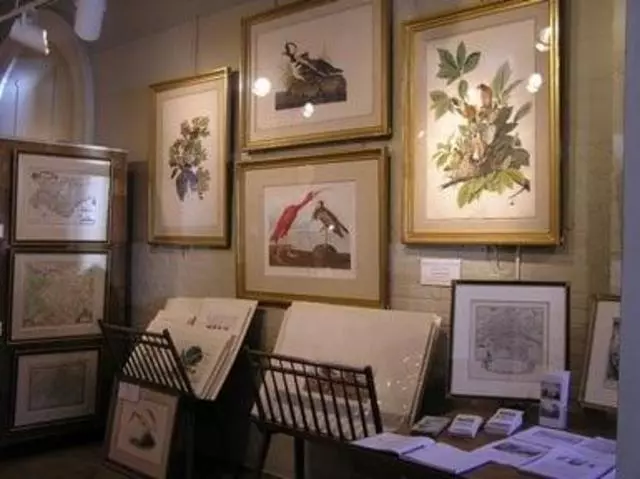 Arader Galleries