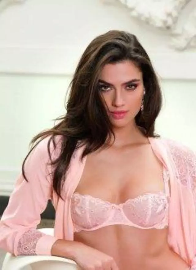 Aricie Lingerie