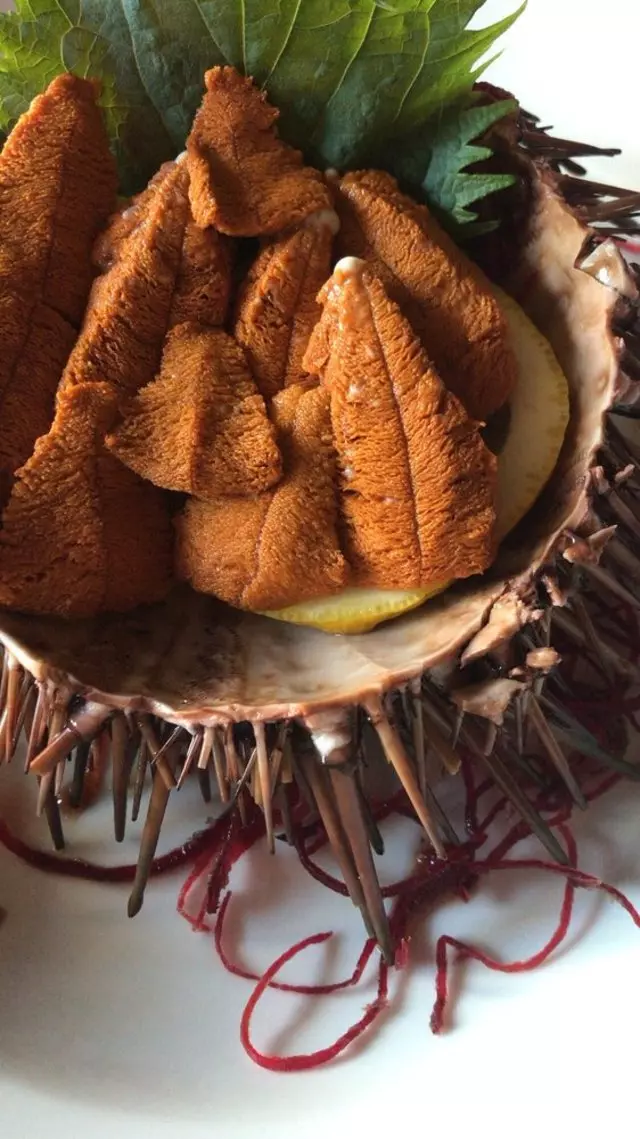 Sushi Bistro
