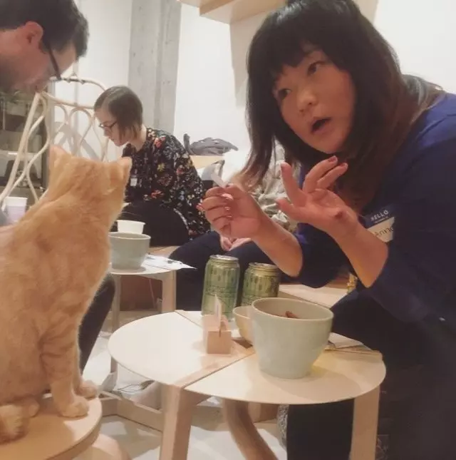 KitTea Cat Cafe