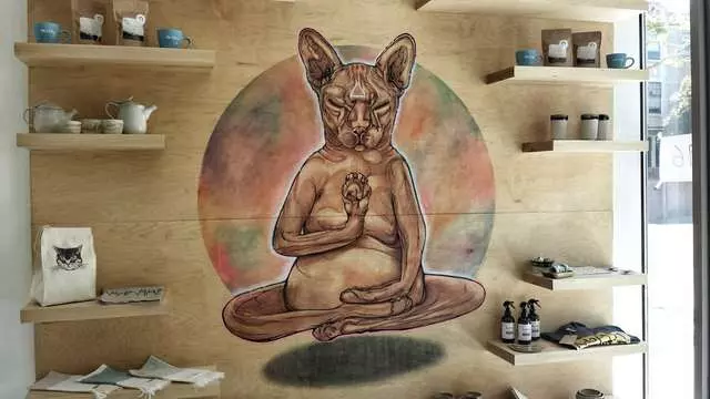 KitTea Cat Cafe