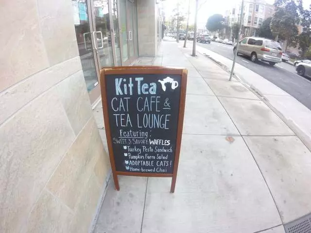 KitTea Cat Cafe