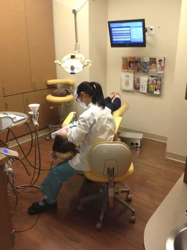 Alan R Malouf, DDS
