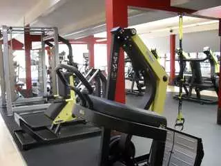 Results Fitness
