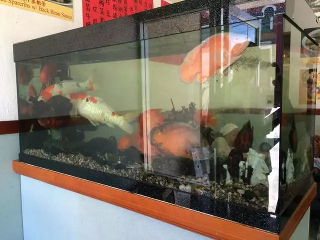 Mission Hunan Restaurant