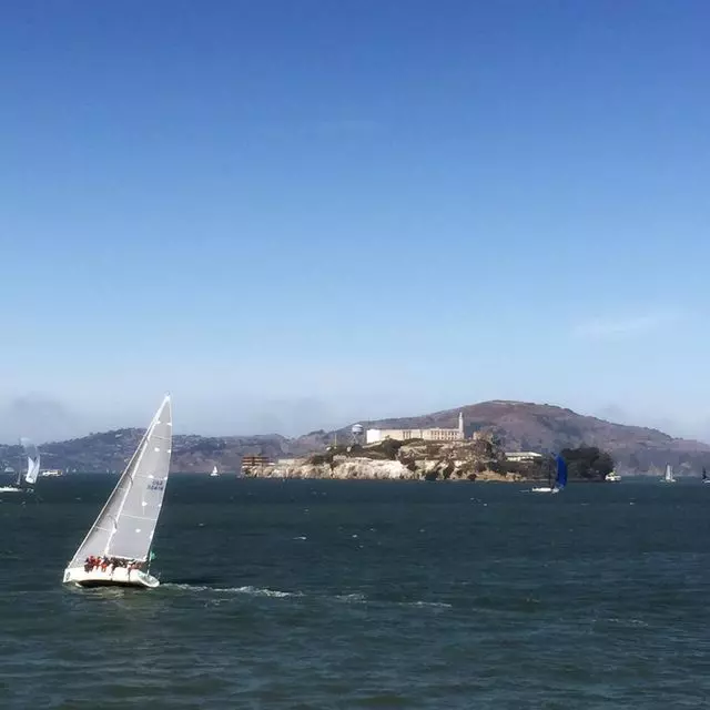 Annual Brews on the Bay