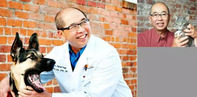5 Direction Integrative Veterinary Care