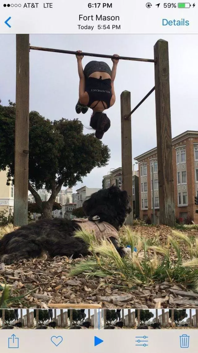 BAYFIT SF