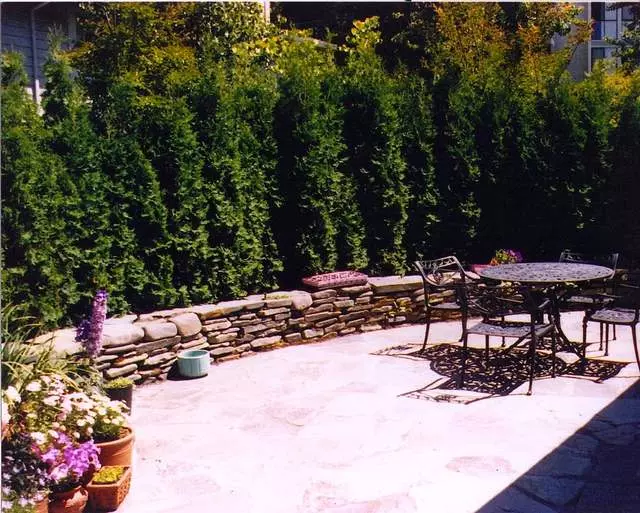Alder Landscape Architecture