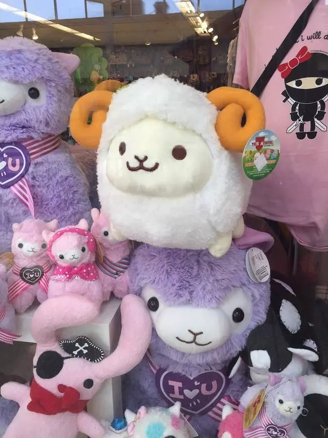 Amiko Boutique
