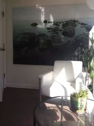 SF Wellness & Arts