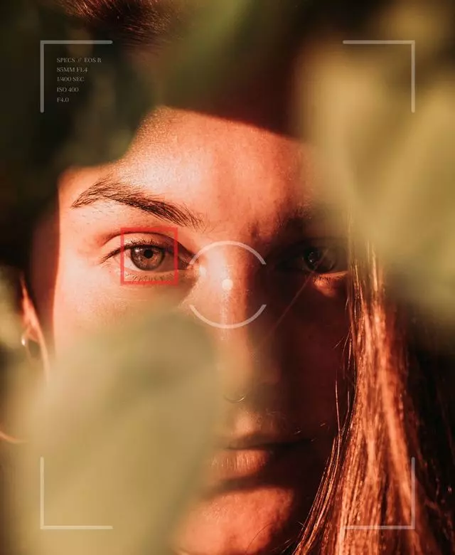 What Gives Photography