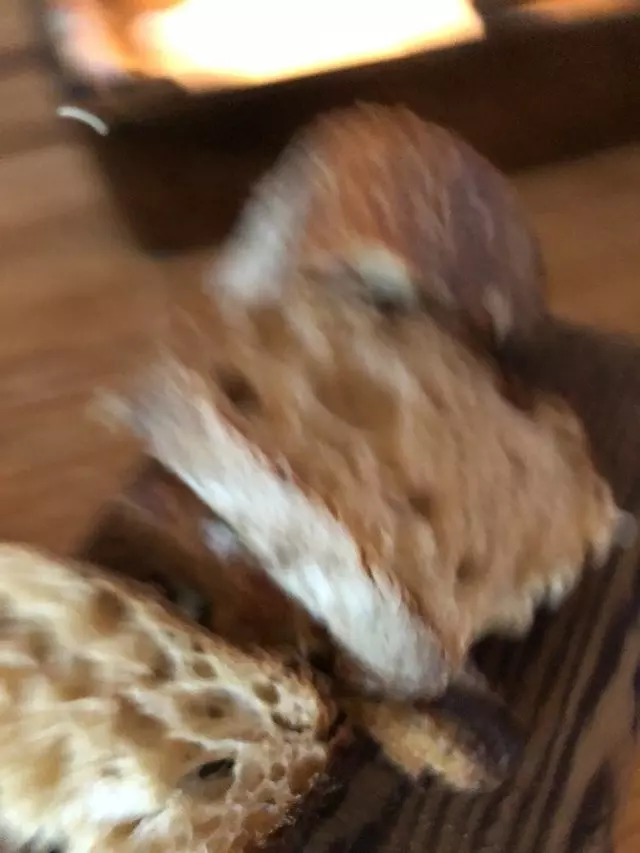 Flour + Water