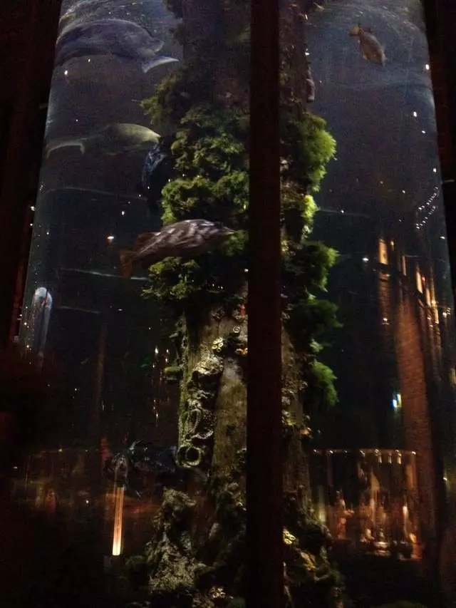 Waterbar