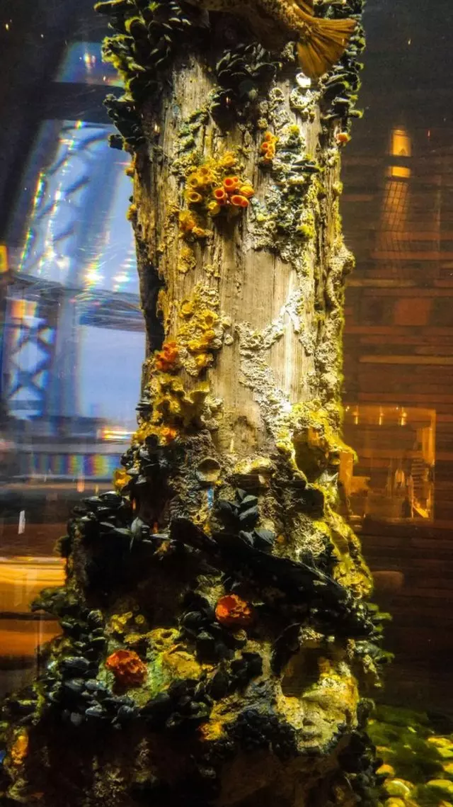 Waterbar