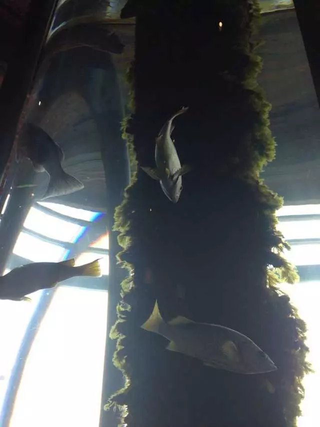 Waterbar