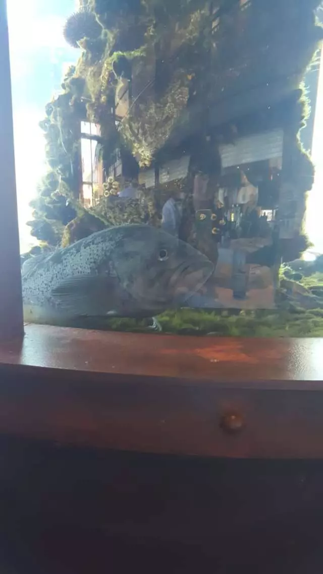 Waterbar