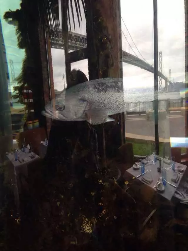 Waterbar