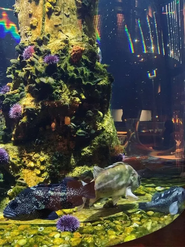Waterbar