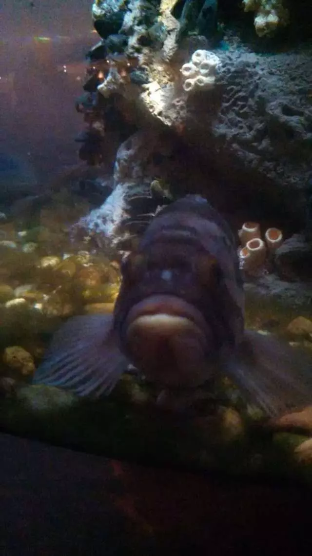 Waterbar