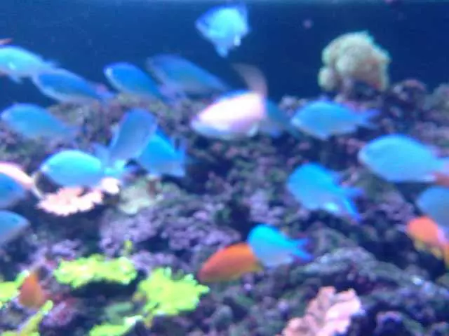 Waterbar