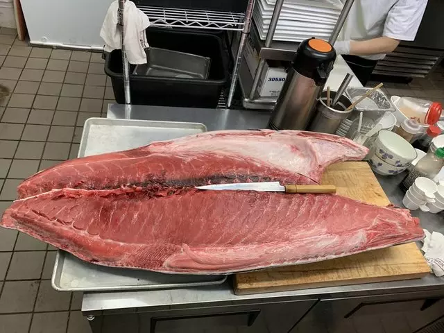 O-Toro Sushi