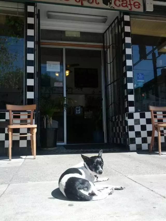 The Little Spot Cafe