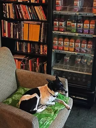The Little Spot Cafe