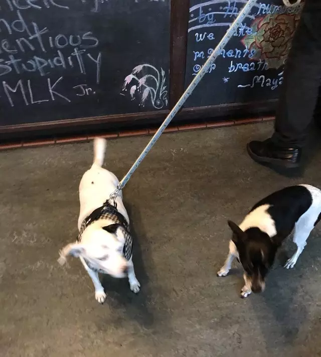The Little Spot Cafe