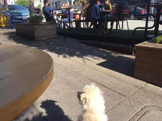 Farley’s