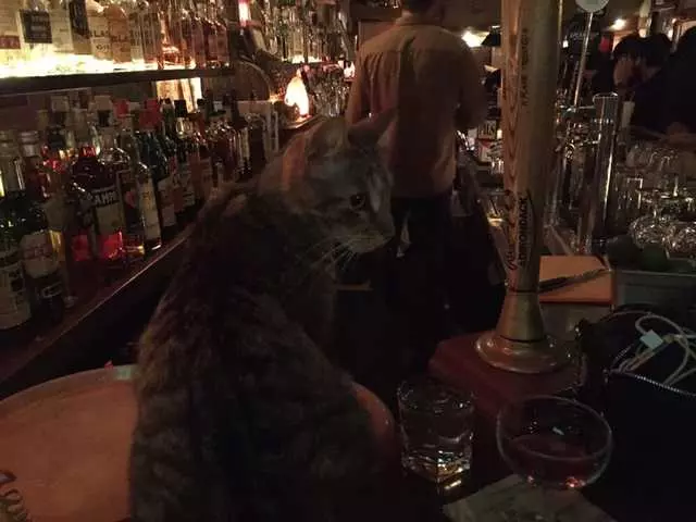 Rock Bar