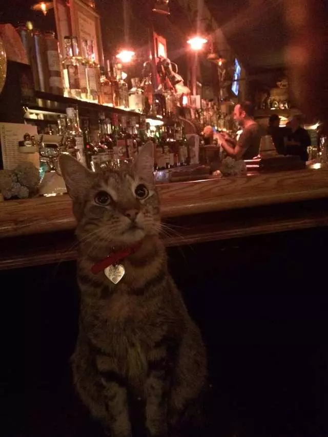 Rock Bar