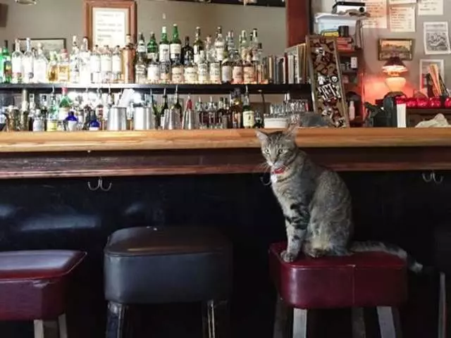 Rock Bar