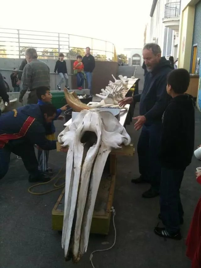 Mission Science Workshop