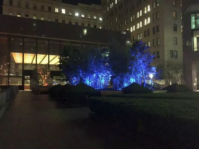 A P Gianinni Plaza