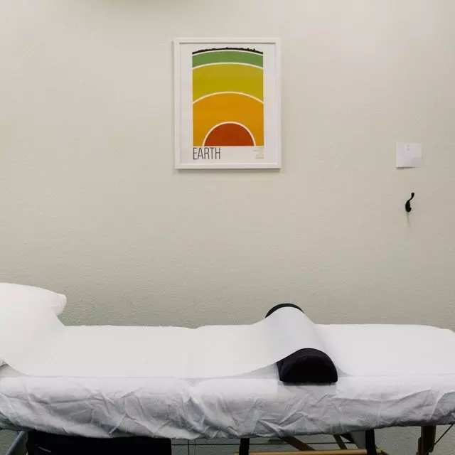 Acupuncture Hive