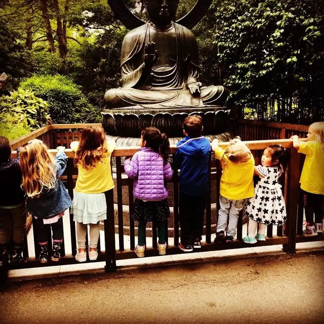 The Maria Montessori School of The Golden Gate